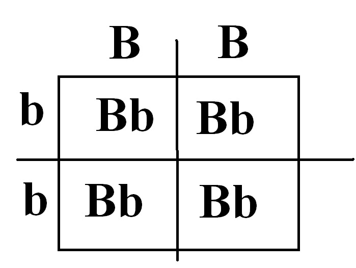 What is a b b ответ. What is a b b ответ
