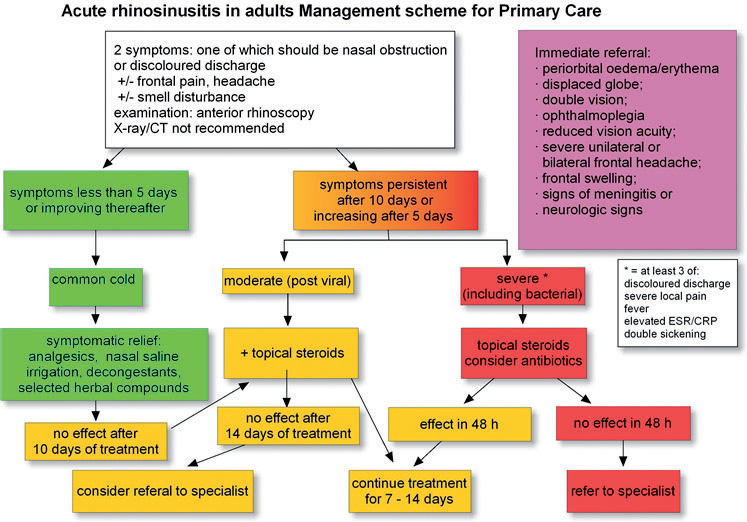 sinusitis at emaze Presentation