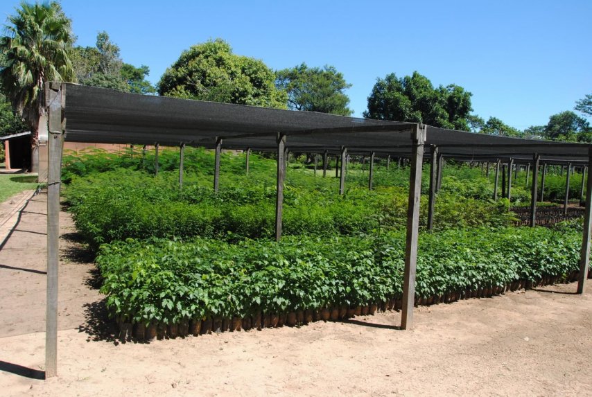 vivero de itaipu at emaze Presentation