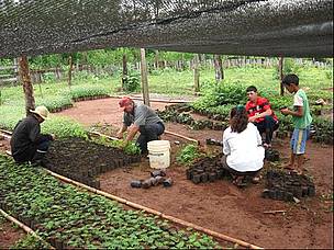 vivero de itaipu at emaze Presentation