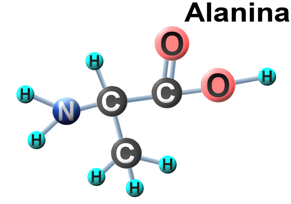 Молекула Глицина – Telegraph
