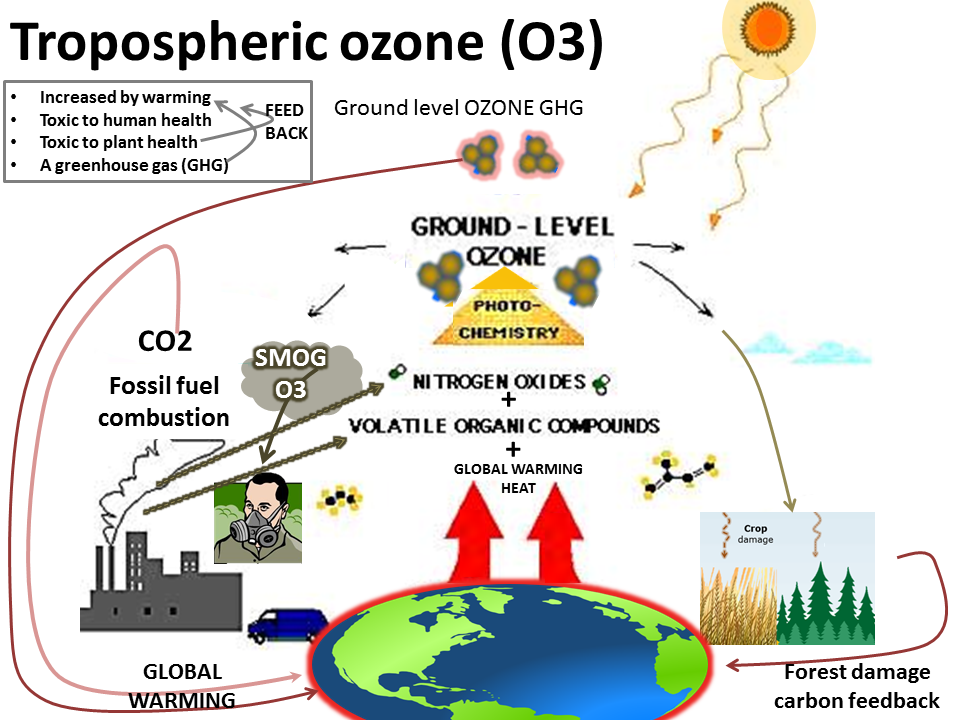 Oxy-gem's air quality on emaze