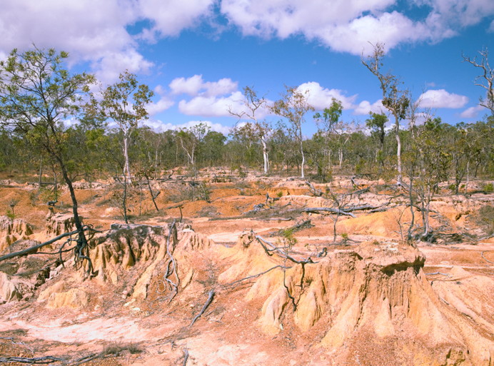 How Will You Describe An Ecosystem With Low Biodiversity