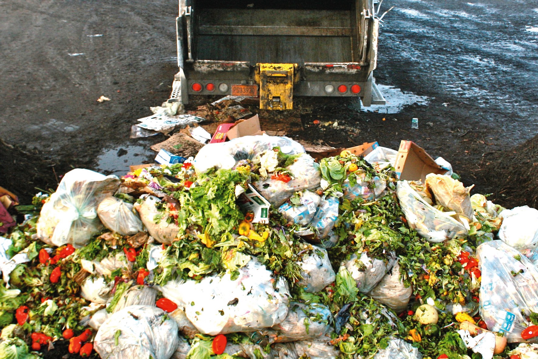 Пищевые отходы утилизация. ТБО пищевые отходы. Свалка пищевых отходов. Еда в мусорке. Пищевые отходы на полигоне.