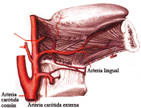 Presentation Name on emaze