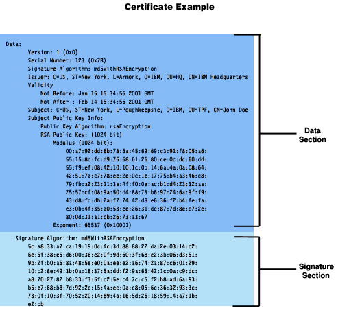 Tls failed to verify certificate x509. Сертификат x.509. X509 Certificate example next update.