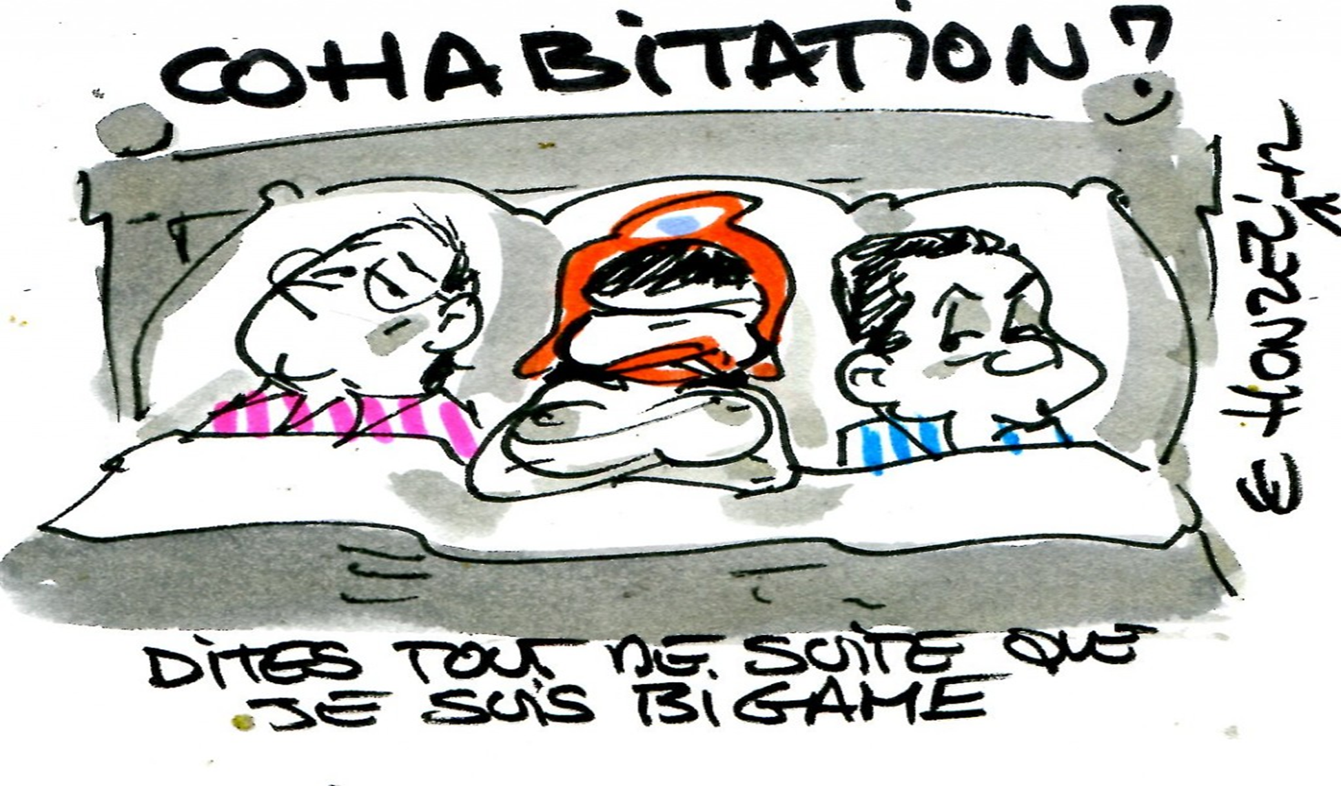 Les Cohabitations Sous La Vème République At Emaze Presentation