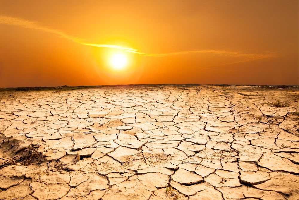 LAND DEGRADATION on emaze