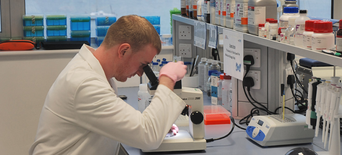 What Is A Marine Biologist Work Environment At Rebbecca Costales Blog