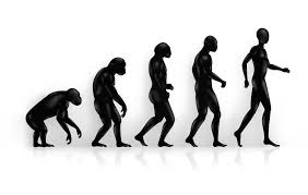 Rabbit Evolution - Miranda Larimer at emaze Presentation