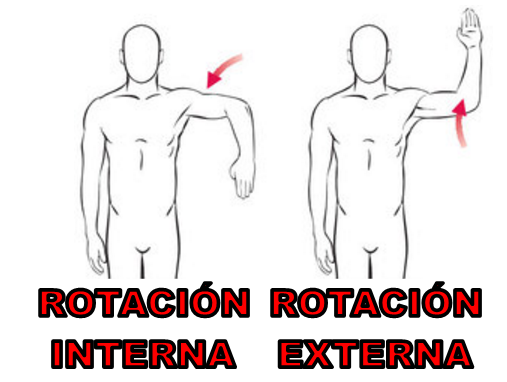 Aparato Locomotor Mind42