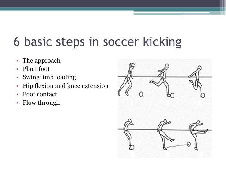 tricks,basic on emaze