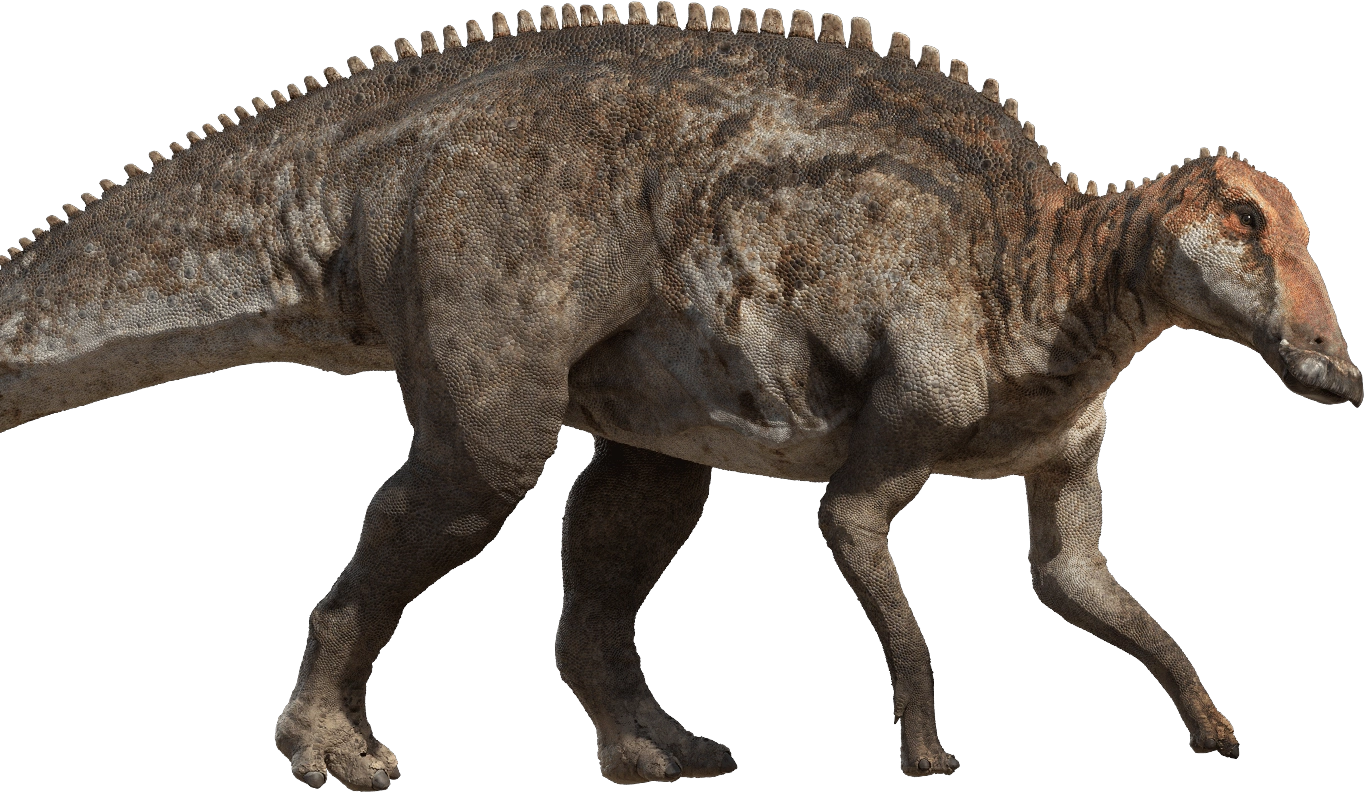 Dinosaur king edmontonia