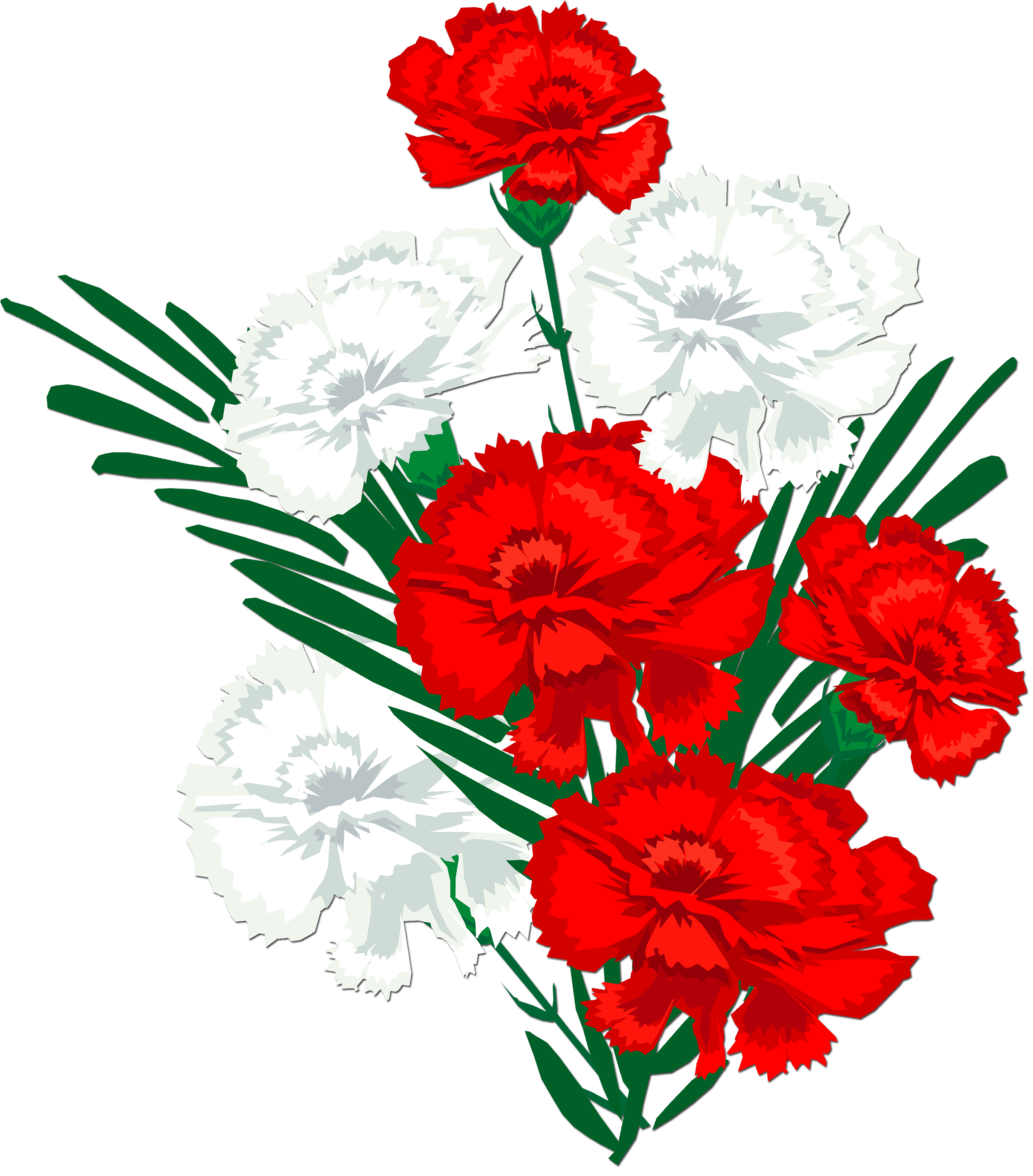 Открытки, картинки анимация цветы гвоздики