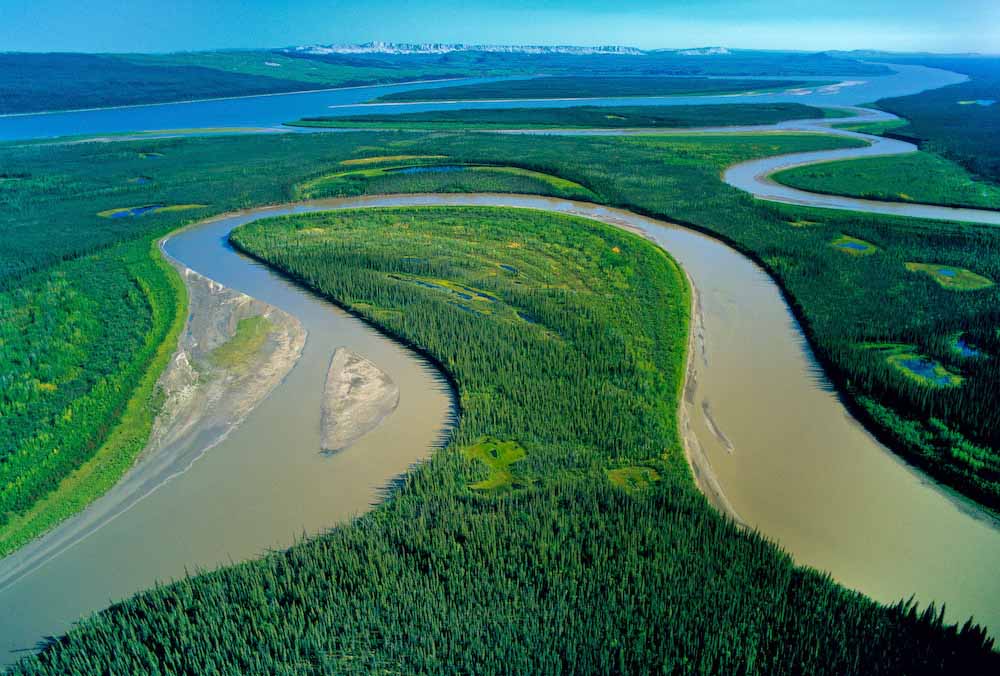 Какая река полноводна круглый. Река Маккензи. Река Амазонка. Дельта амазонки. Южная Америка река Амазонка.