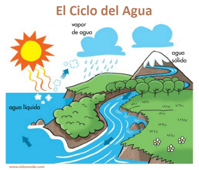 Del agua