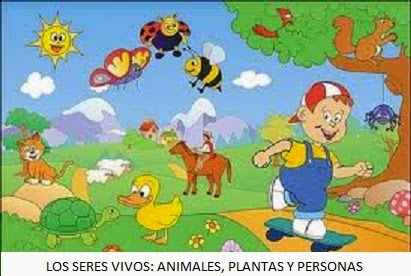 EL MUNDO MARAVILLOSO DE LOS SERES V...