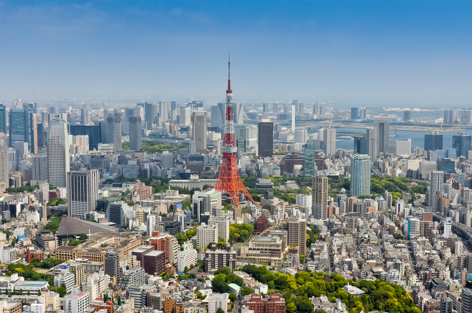 Токио как зовут. Tokyo Skyline.