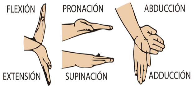 Resultado de imagen de moviments de les articulacions