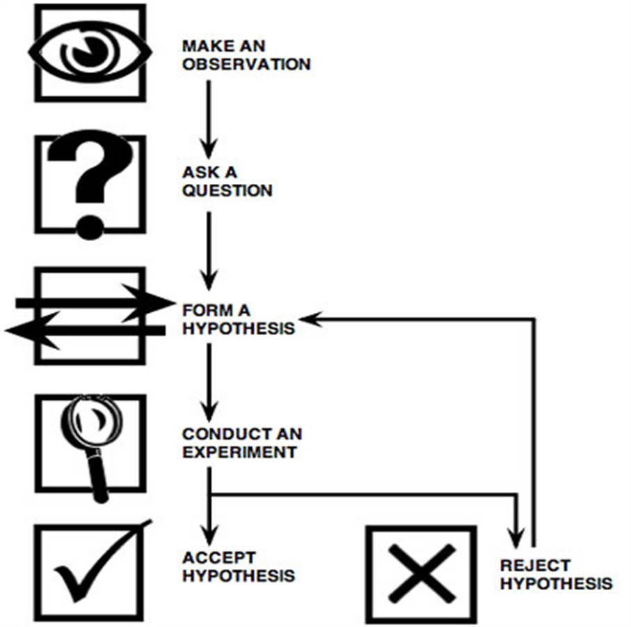 Conduct experiment. Observe and make hypothesis pictures.