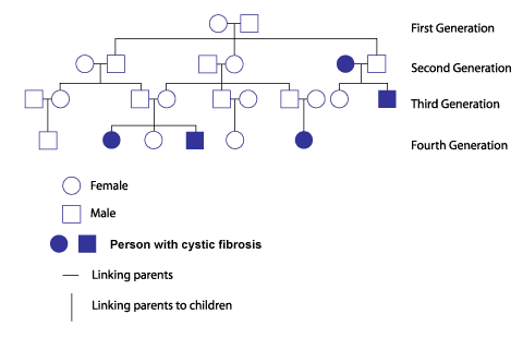 Genetics on emaze