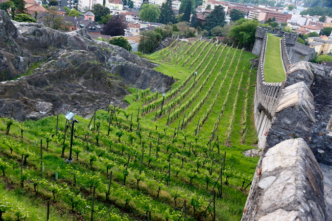 תוצאת תמונה עבור כלכלה ברצועת ההר