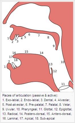 places and manners of articulations on emaze