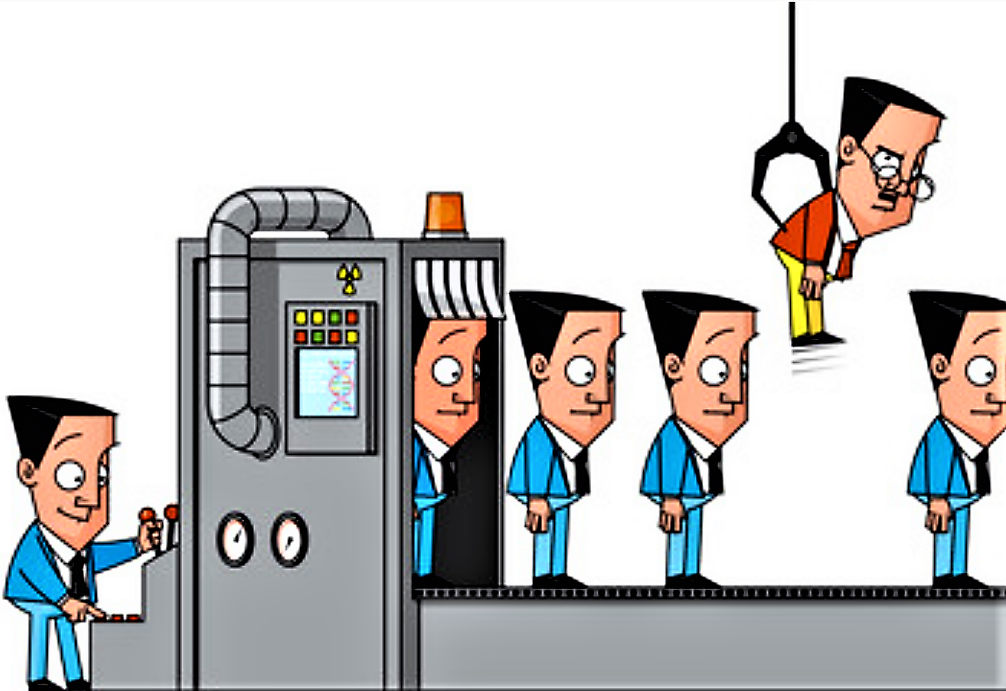 selection-process-at-emaze-presentation