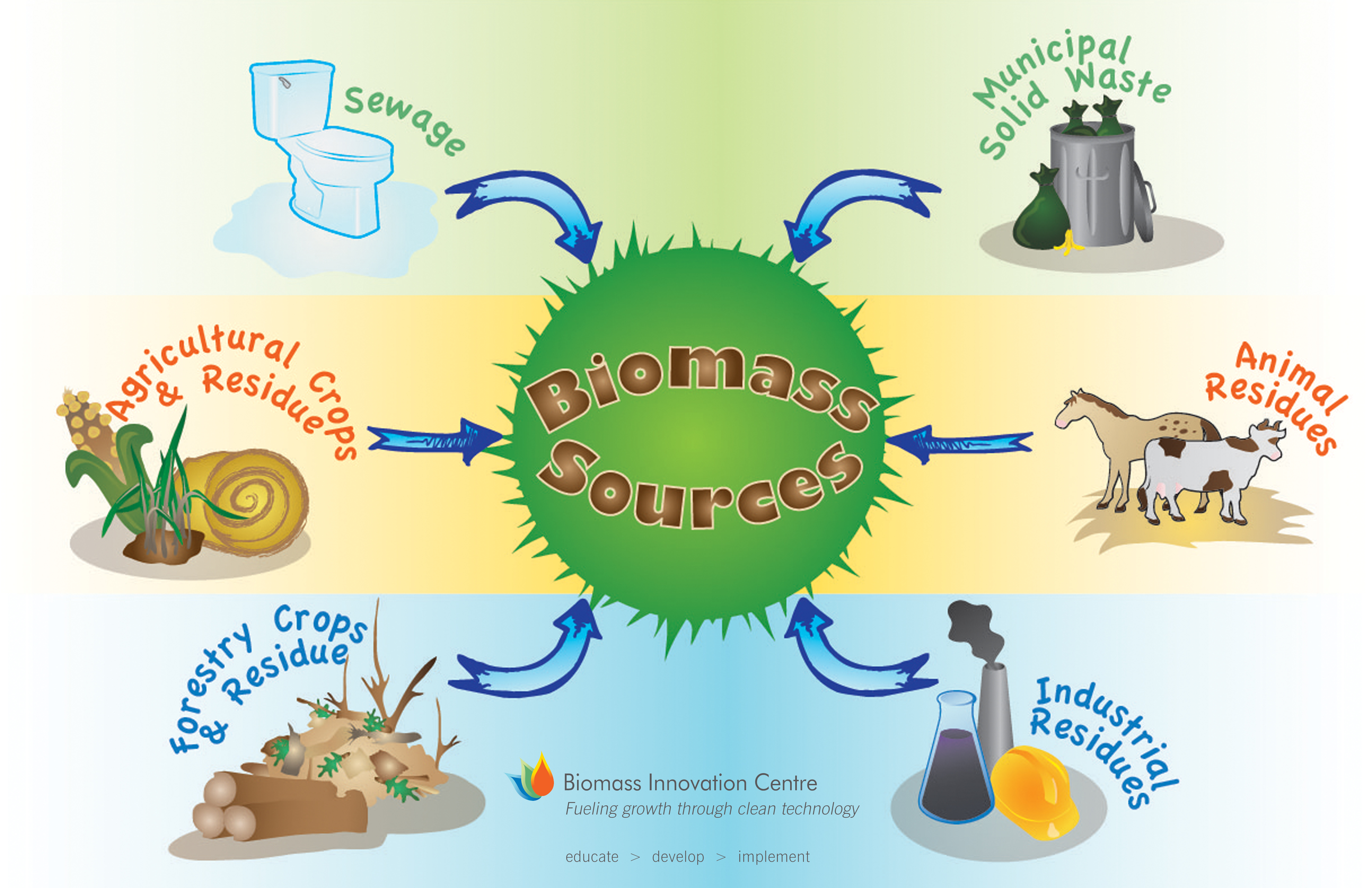 Biomass Energy For Kids Biomass Energy For Kids