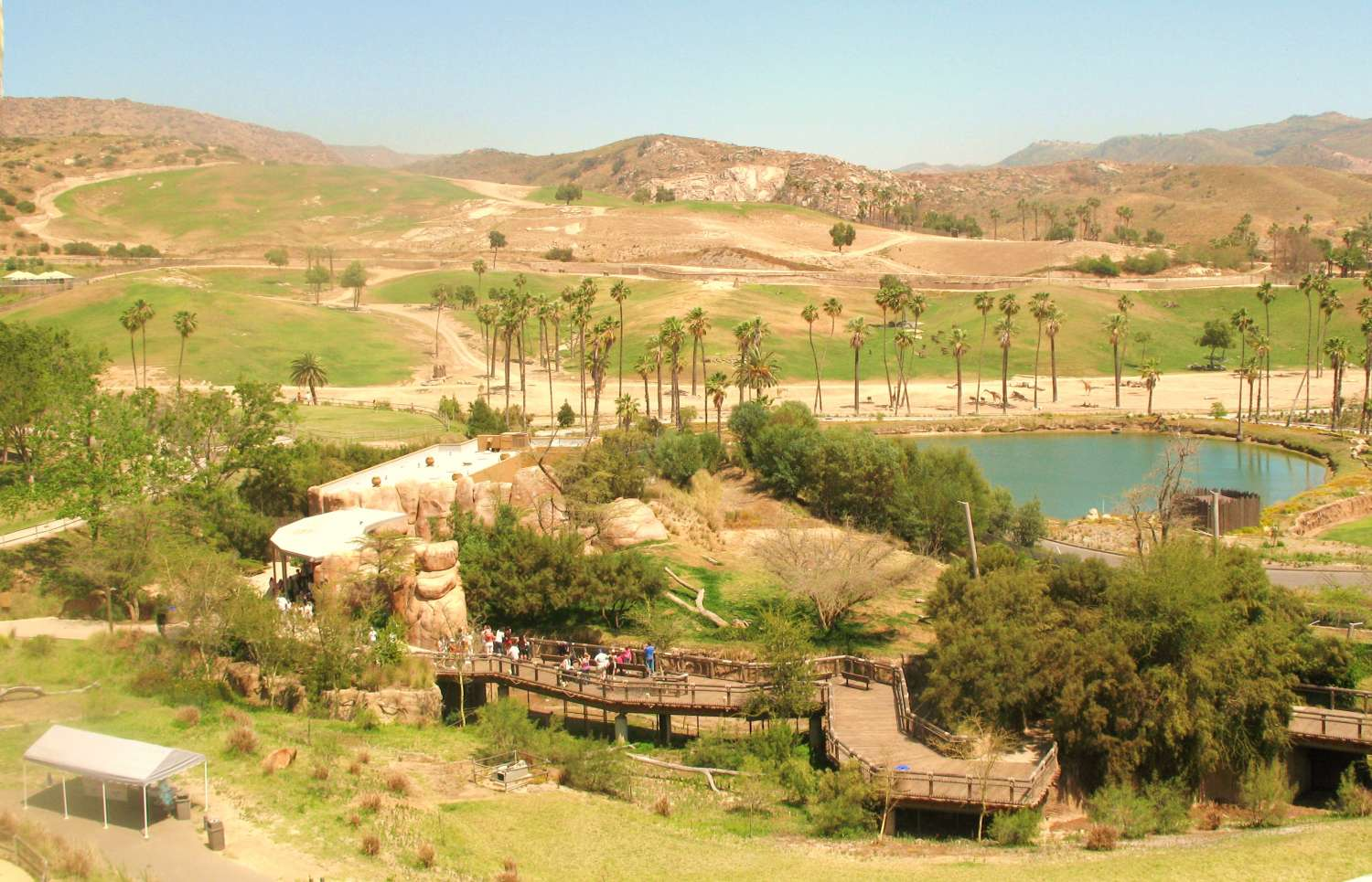 Why we should stop hunting endangered animals at emaze Presentation