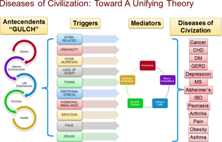 Болезнь цивилизации какие заболевания. Какие болезни относятся к болезням цивилизации. Какие заболевания относят к болезням цивилизации?. Какие факторы распространения болезней цивилизации. Какие болезни относятся к «болезням цивилизации» (2)?.