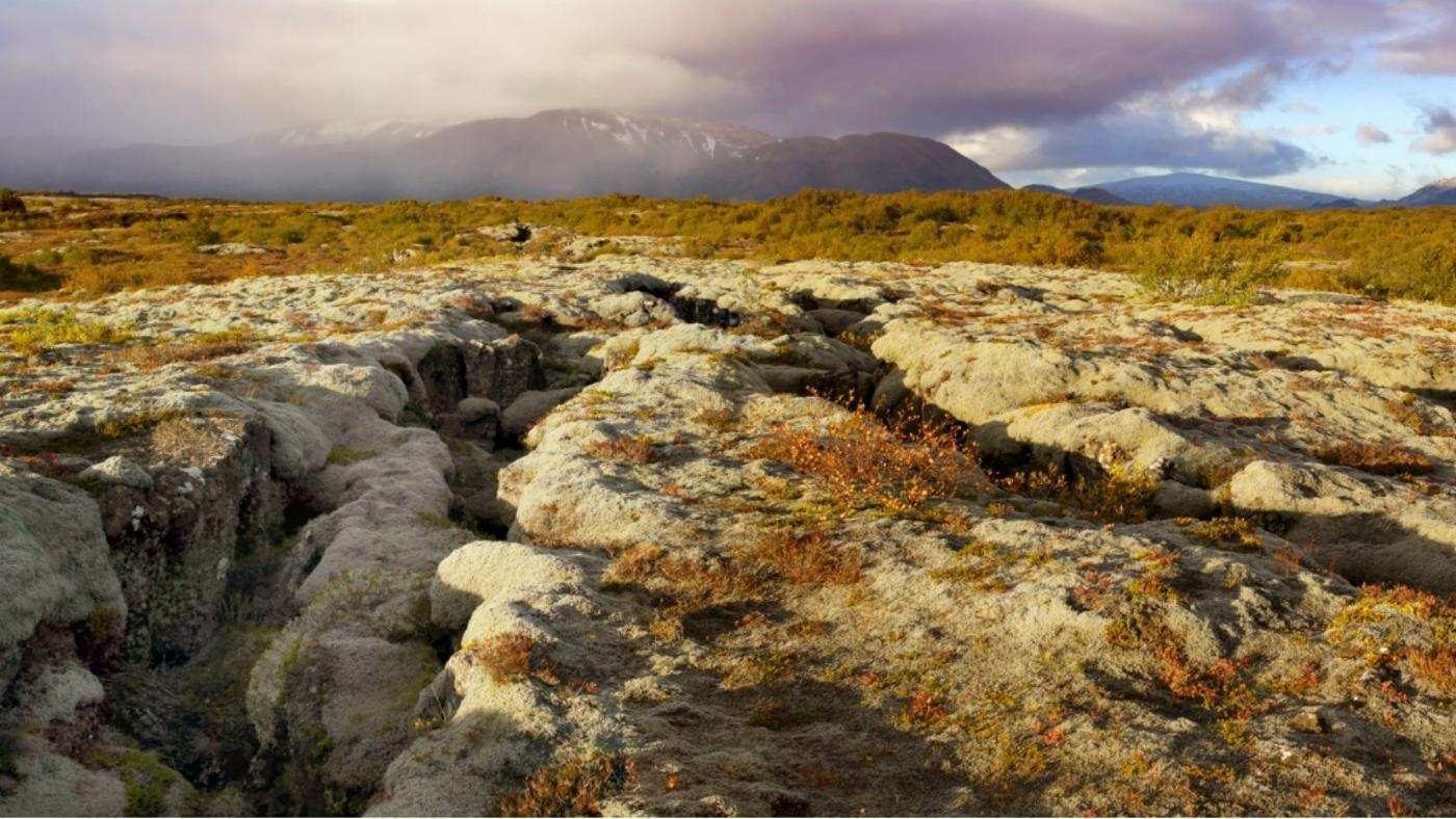 Текстура земли. Текстура земли. Текстура травы. Рыхлая почва. Грунт в разрезе.