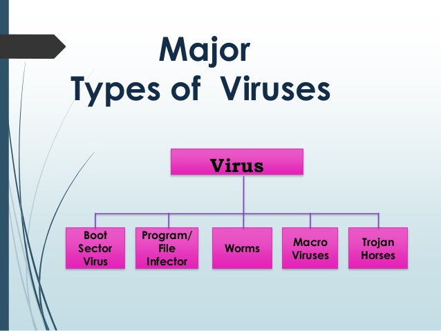 Types of Computer viruses. What is a Computer virus. Classification of viruses.