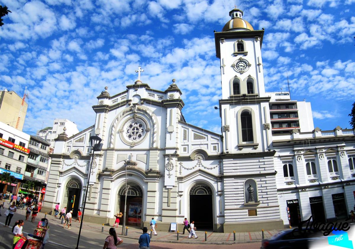 Catedral primada de ibague. 