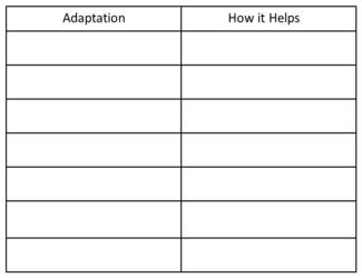 Animal Adaptations by lachula1210 on emaze Animal Adaptations by lachula1210 on emaze