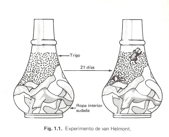 Experimento De Jean Baptiste Van Helmont Sobre La Generacion Espontanea
