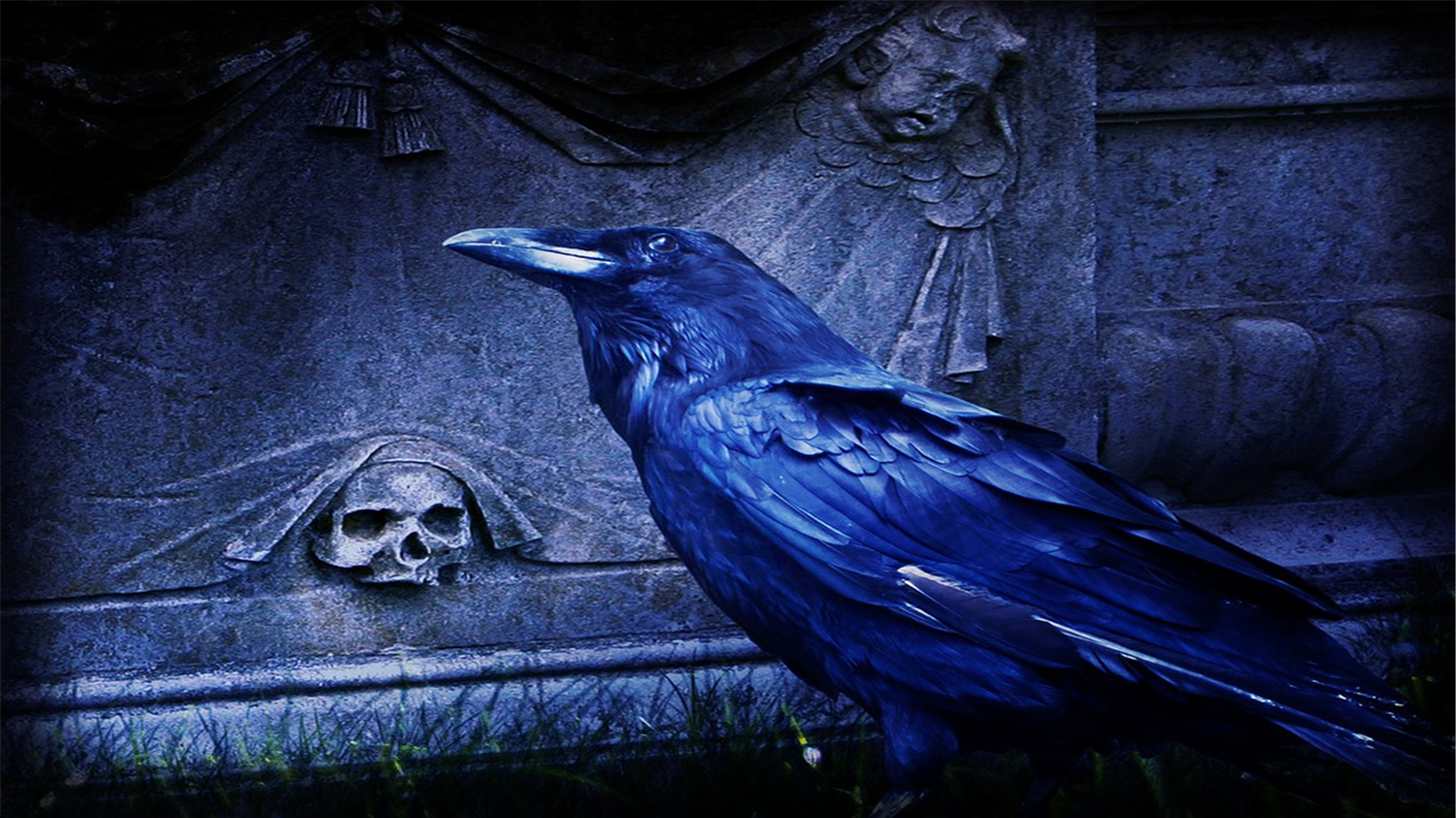 Синяя ворона читать. Ворон мистическая птица. Ворон арт. Черный ворон мистика. Вороны мистика.