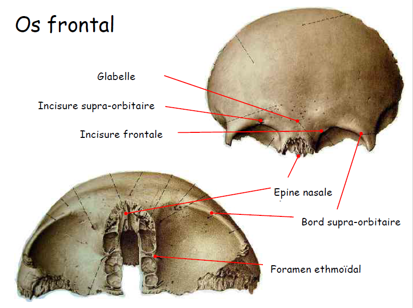 Presentation Name at emaze Presentation