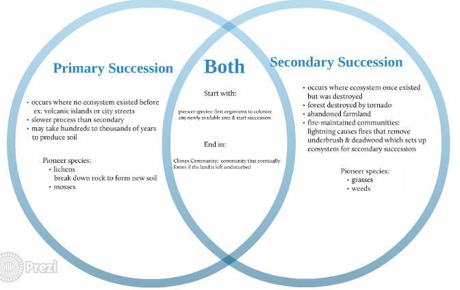 What Is Something Primary And Secondary Succession Have In Common