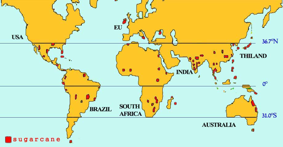 Сахарный тростник основные районы выращивания. Сахарный тростник ареал распространения. Районы выращивания сахарного тростника. Сахарный тростник на карте. Главные районы возделывания сахарного тростника.