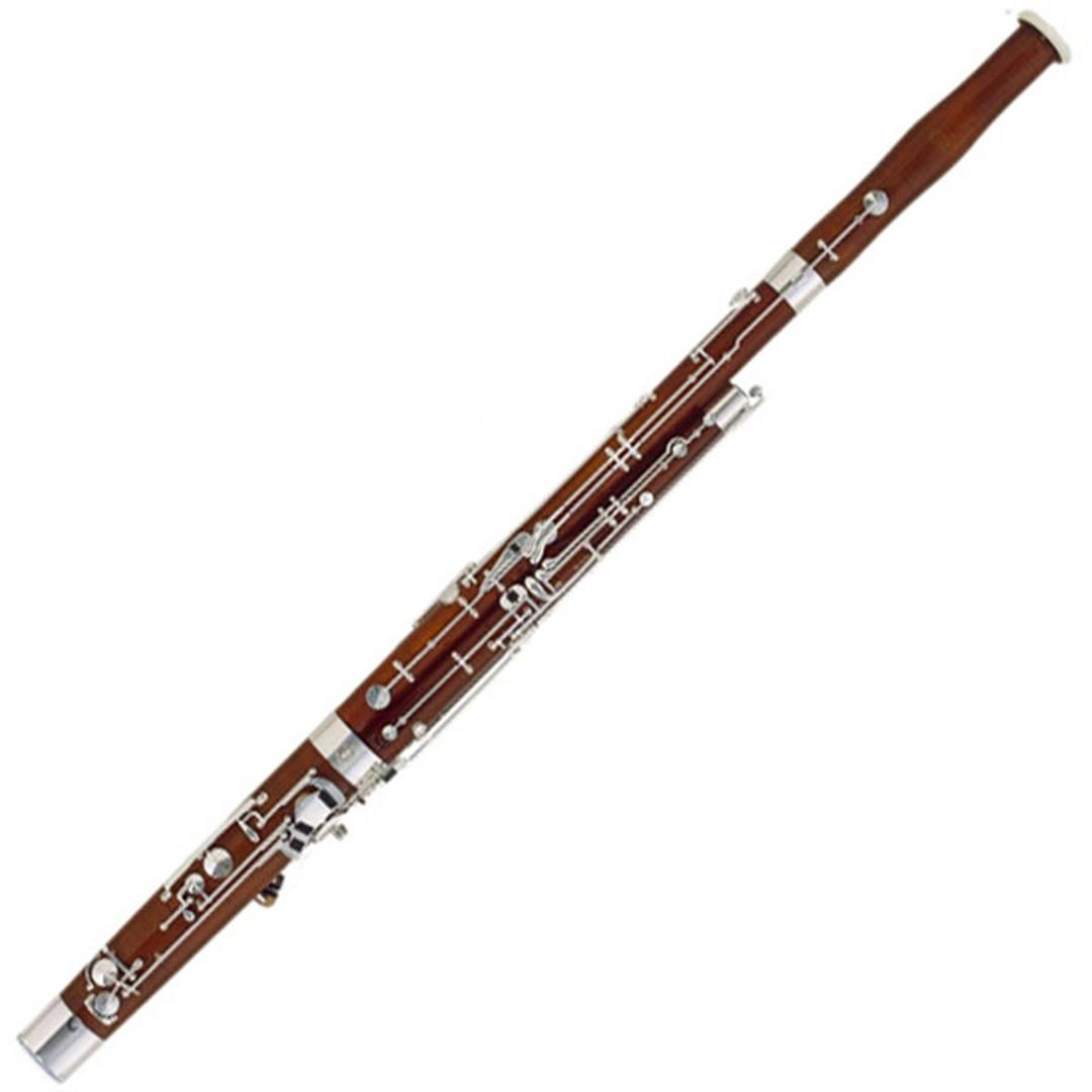 Basul Instrument Mrs.Powell at emaze Presentation