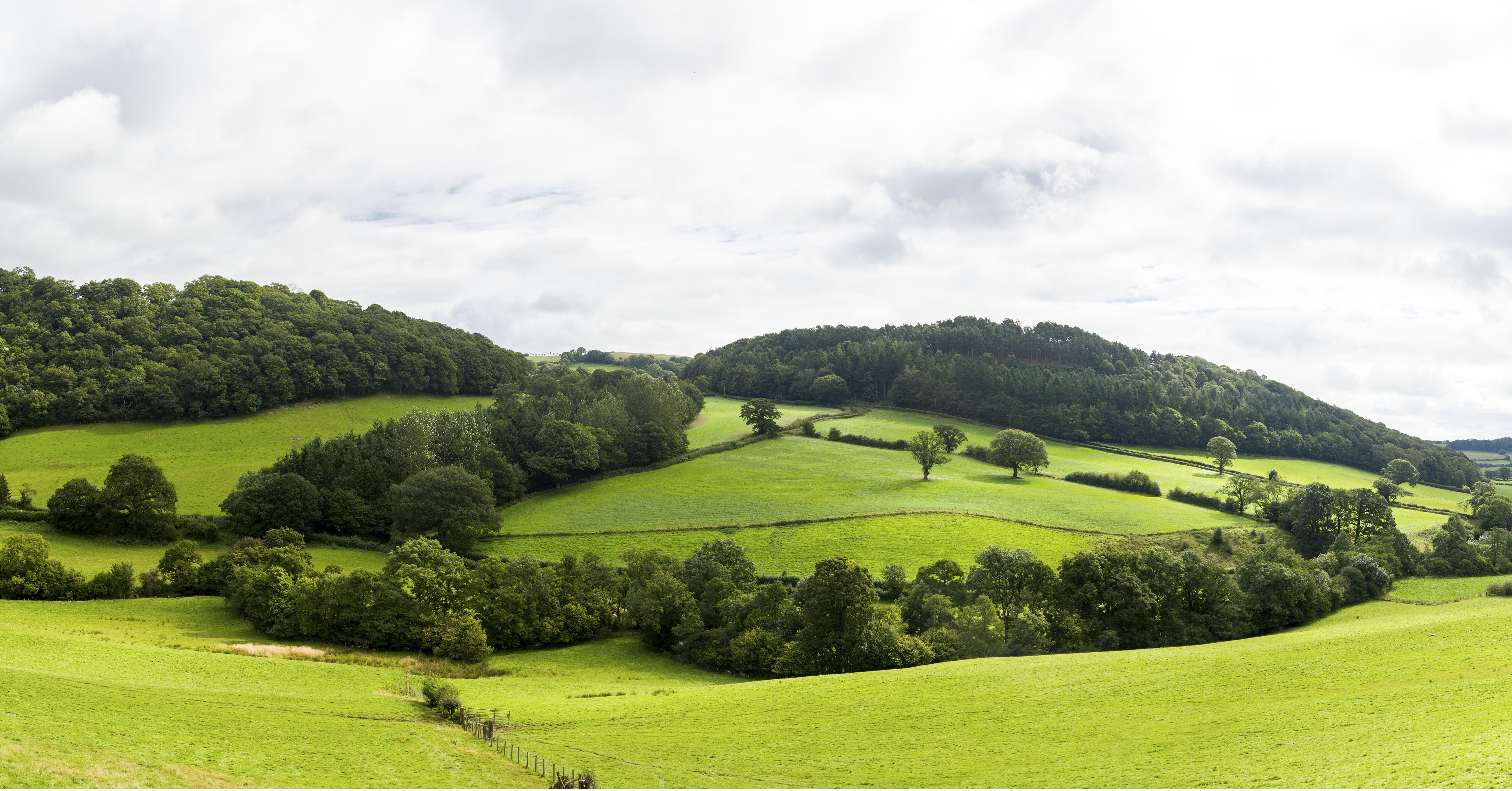 Поле по английски. Green Hill зеленый холм в Англии. Вельс в Англии поля леса. Зеленые холмы Уэльс. Холмистые равнины Великобритании.