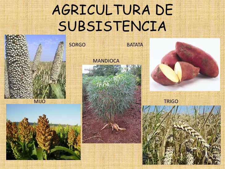 Resultado de imagen para agricultura de subsistencia
