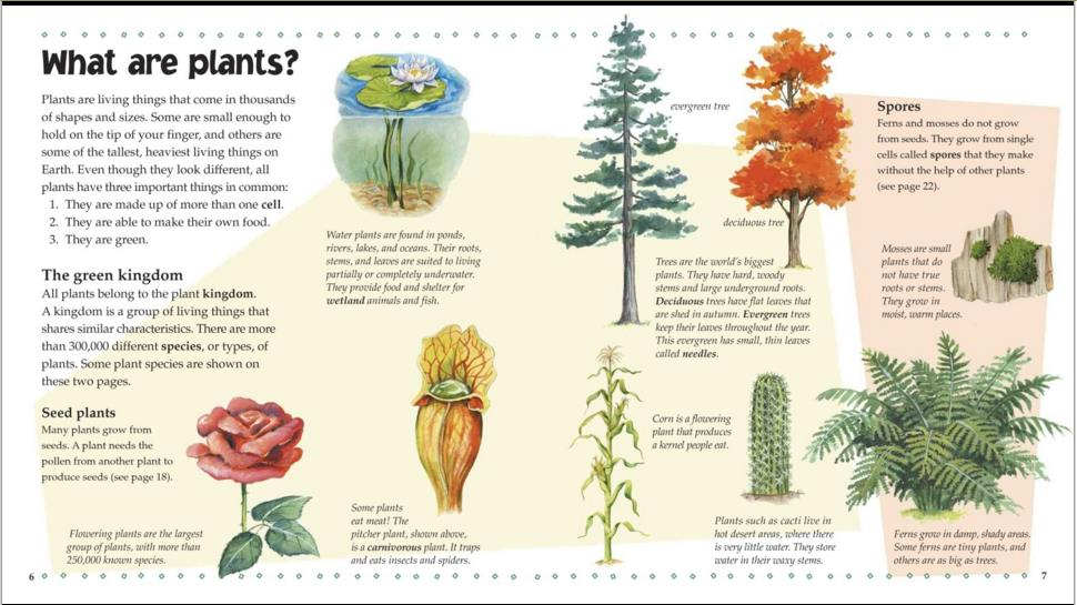 She is the plants. Types of Plants. Types of Plants for Kids. Plant names. Plants names in English.