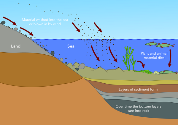 6th From Sediment to Sedimentary Rock assignment - St. Bernadette School