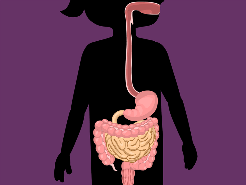 Проблемы с кишечником у ребенка. Пищеварение анимация. Пищеварительная система для детей.