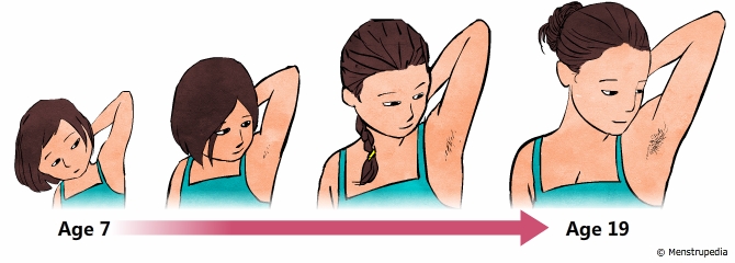 Puberty at emaze Presentation