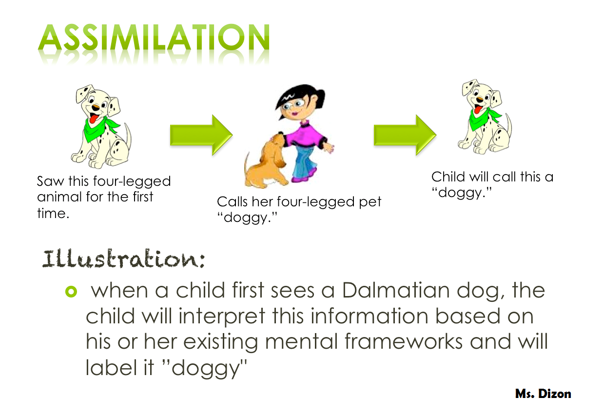 jean piaget the psychology of intelligence