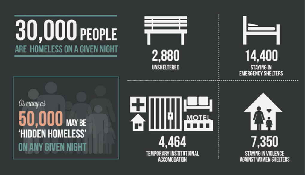 Give night. How many Pets are homeless are homeless and why Diagramms