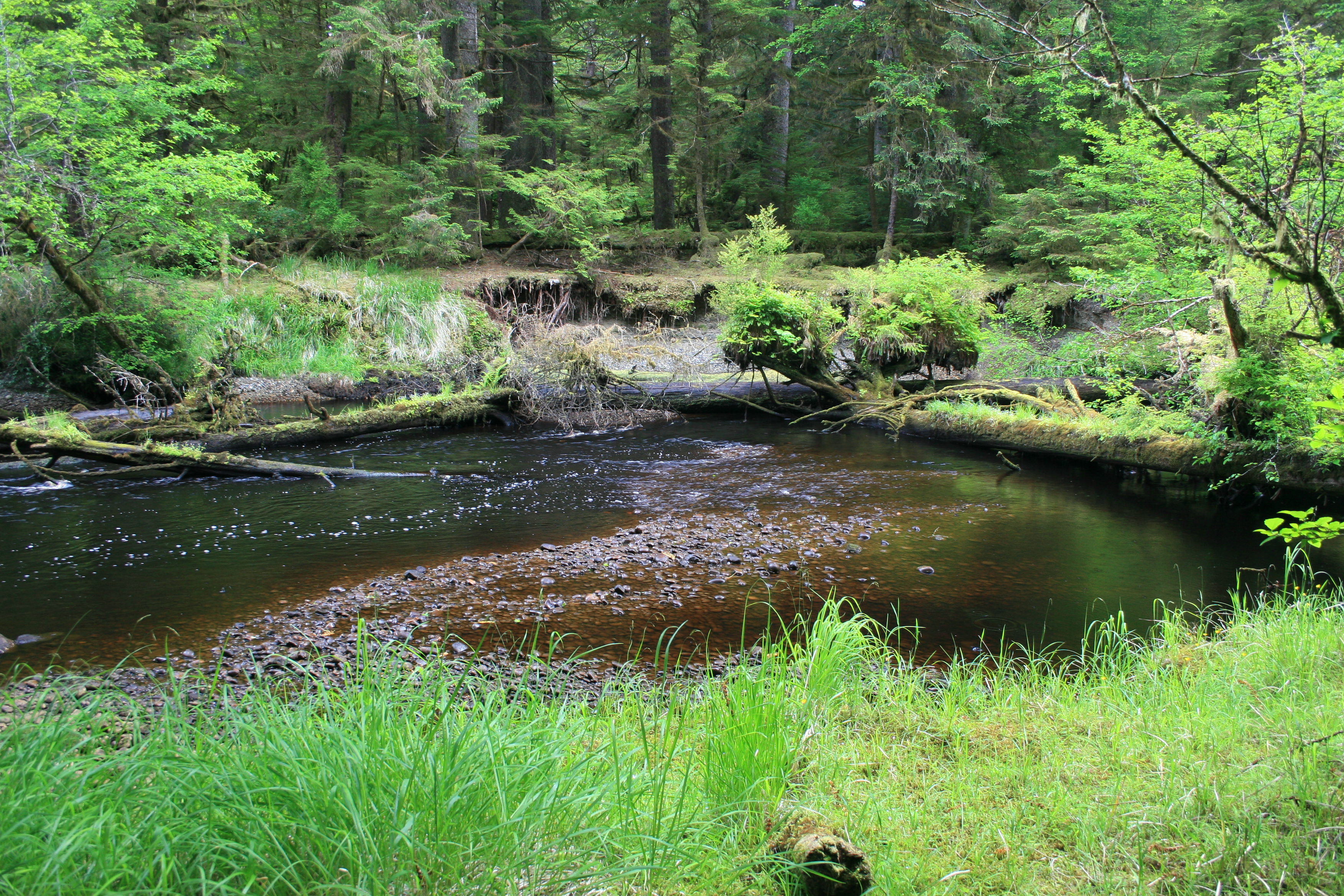 Human habitats. Habitat картинки. Natural Habitat. Terrestrial Habitat. Habitat Agahan.